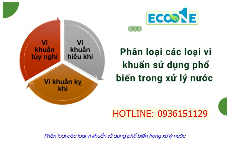 Phân loại các loại vi khuẩn sử dụng phổ biến trong xử lý nước